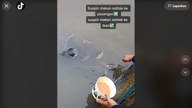 Viral Aksi Wanita Nyuapin Jajanan Seblak ke Ikan Lele, Respons Ikannya Tak Terduga (TikTok)