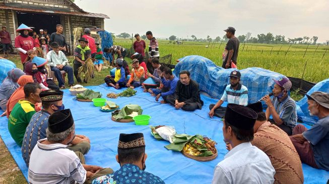 Melestarikan Tradisi Syukuran Wiwitan Padi dan Ajak Pemuda Kembali ke Sawah