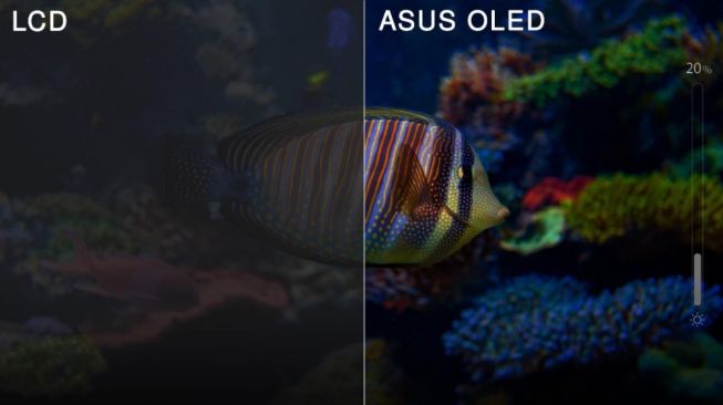 Asus Oled. [Asus Indonesia]