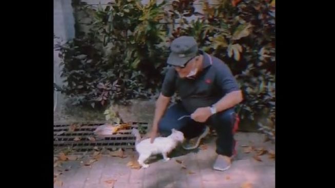 Quality Time Bareng Ayah Beri Makan Kucing-kucing Liar, Aksi Cewek Ini Bikin Haru Warganet