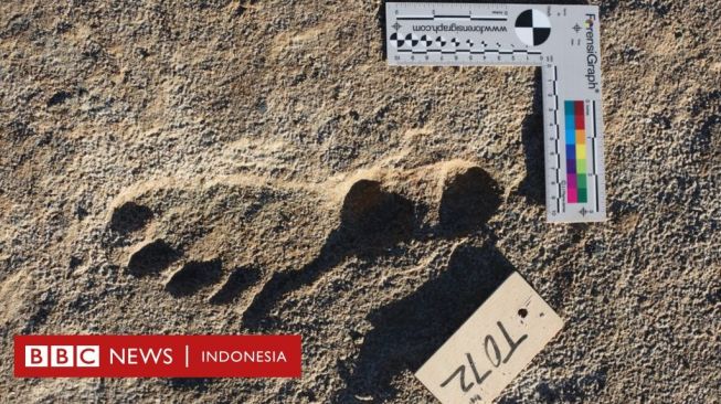 Jejak Kaki Manusia Tertua di Amerika Berusia 23.000 Tahun Ditemukan