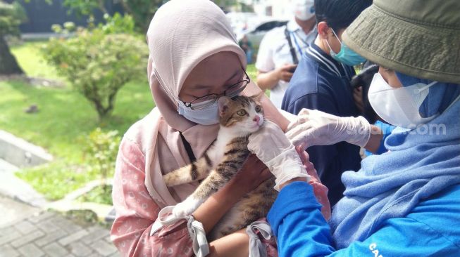 Sumut Masuk 5 Besar Kasus Rabies Tertinggi di Indonesia