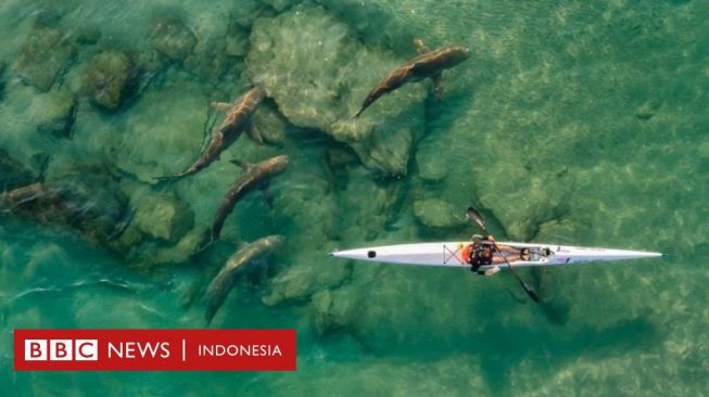 Foto-foto Menakjubkan dari Ajang Drone Terbaik 2021