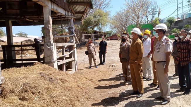 Tinjau Karantina Ternak, Gubernur NTT Soroti Kebersihan Kandang
