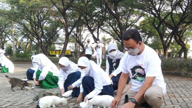 Gubernur DKI Jakarta Anies Baswedan saat memberi makan kepada kucing liar pada puncak Hari Rabies Sedunia yang diperingati setiap 28 September di kawasan Ancol, Jakarta, Selasa (28/9/2021). ANTARA/Dewa Ketut Sudiarta Wiguna