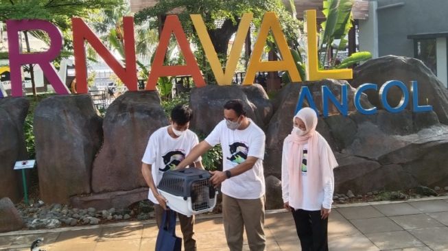 Cegah Penularan Rabies, Pemprov DKI Gandeng Daerah Penyangga Lakukan Vaksinasi HPR