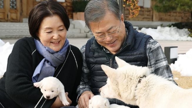 Korea Selatan Akan Larang Makan Daging Anjing