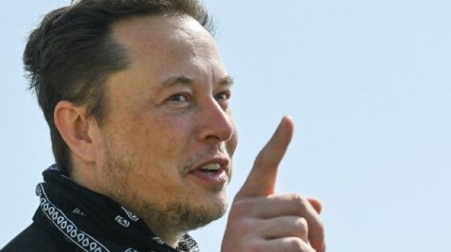 CEO SpaceX, Elon Musk. [Patrick Pleul/POOL/AFP]