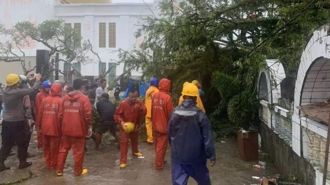 Seorang Warga Padang Pariaman Tewas Tertimpa Pohon Tumbang