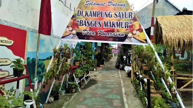 Segudang Manfaat Program Kampung Sayur, dari Sisi Ekonomi hingga Persatuan Warga