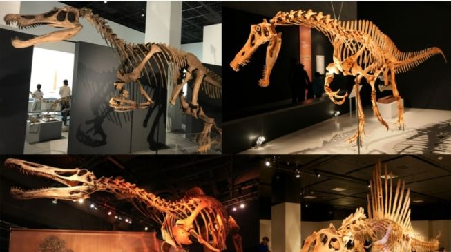 Fosil Dinosaurus Berusia 125 Juta Ditemukan di China