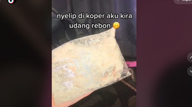 Buka Koper, Wanita Syok Lihat Bungkusan Serbuk Putih Nyelip di Sela-sela Bagian Dalam (TikTok)