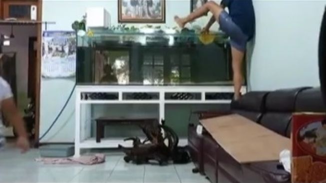 Viral Video Pria Renang di Akuarium Alih-alih Kolam Renang. (TikTok)