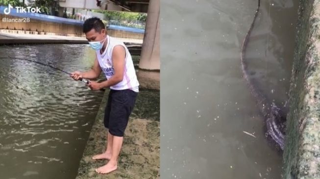 Viral Pria Mancing di Bawah Jembatan Dapat Reptil, Netize Berdebat Ini Buaya atau Biawak?