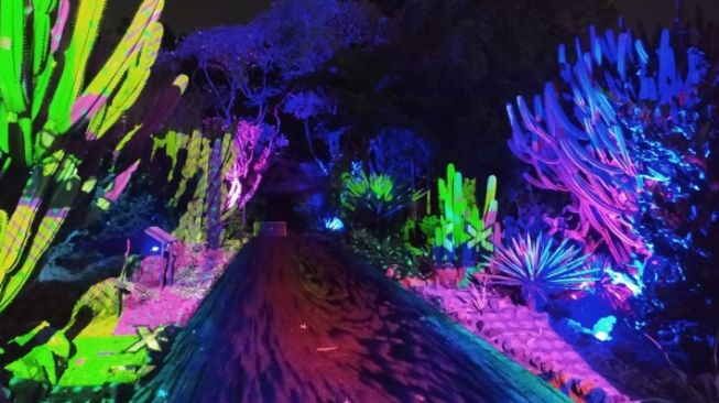 Ditolak Budayawan, Wisata Malam Glow di Kebun Raya Bogor Tetap Akan Beroperasi
