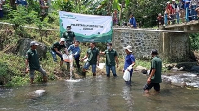 Lestarikan Lingkungan, Greenfields Indonesia Lepas 15 Ribu Ikan ke Sungai