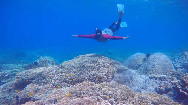 Pengunjung menikmati keindahan bawah laut di Grand Watudodol, Banyuwangi, Jawa Timur, Minggu (3/10/2021).  ANTARA FOTO/Budi Candra Setya
