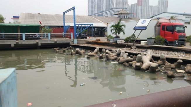 Penampakan laut di Muara Angke, Jakarta Utara pasca tercemar parasetamol. (Raihan Hanani)