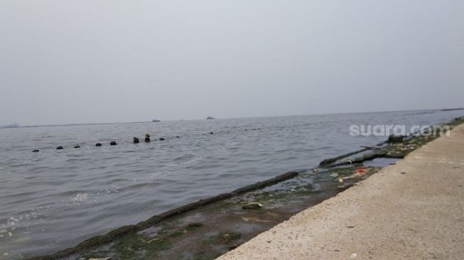 Laut Tercemar Parasetamol, Bu RT di Muara Angke: Rugikan Nelayan dan Pembeli Ikan