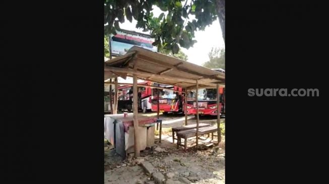 Kucing-kucingan Masukkan Wisatawan, Restoran Besar di Pantai Selatan Timbulkan Kecemburuan