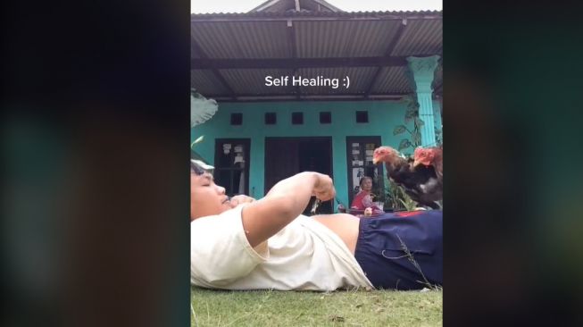 Coba Menghibur Sang Ibu, Pria Taruh Pakan Ayam di Perutnya (TikTok)