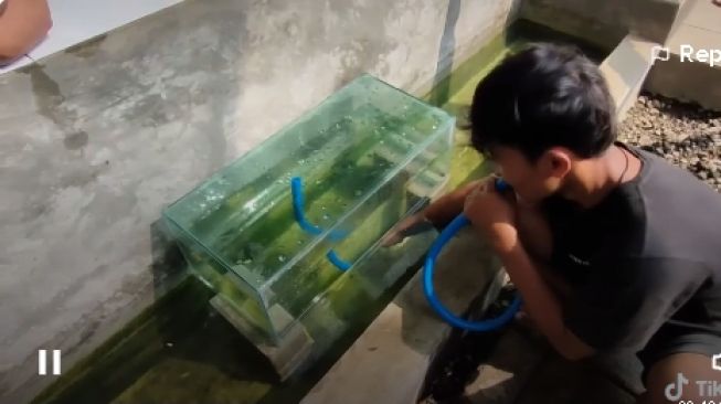 Viral Cara Membuat Kolam Ikan Melayang, Tonton Sampai Habis dan Kalau Bisa, Anda Jago