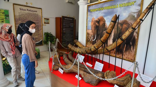 95 Persen Benda Pusaka Peninggalan Kerajaan Bone Dalam Museum Lapawawoi Hilang