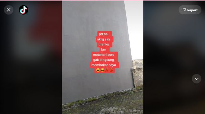 Sedih Tetangga Bangun Tembok Tinggi-tinggi, Kini Wanita ini Malah Bersyukur Karena Hal ini (TikTok)