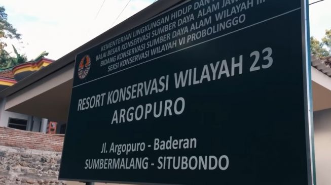 Gunung Argopuro Terbakar, Jalur Pendakian Ditutup Sementara