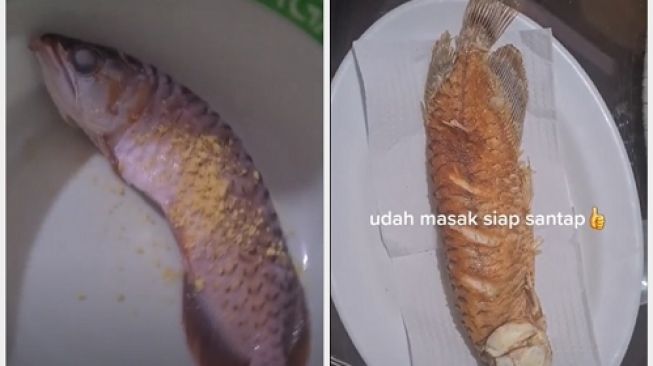 Kesal Suami Tak Mau Bersihkan Akuarium, Istri Goreng Ikan Arwana