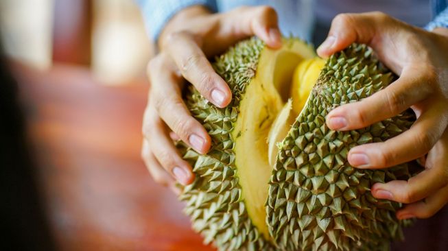 Bulan Puasa Masuk Puncak Musim Durian di Bandar Lampung