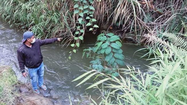 Bocah Kakak Beradik di Taput Jatuh dari Jembatan, Satu Meninggal Dunia