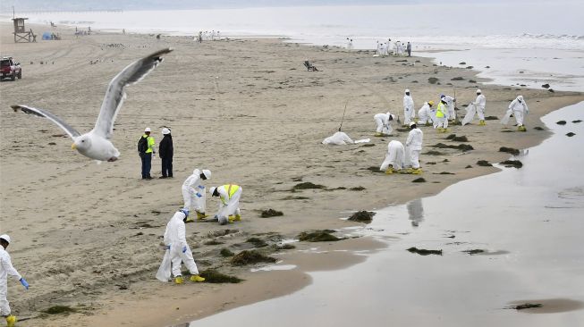 Seekor burung camar terbang saat kru pembersihan bekerja di Pantai Newport, California, pada (7/10/2021). [Frederic J. BROWN / AFP]