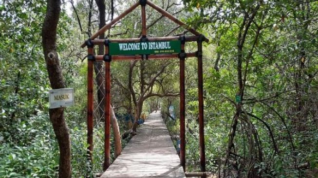Ada Pantai Istambul di Kabupaten Demak, Tawarkan Keindahan Hutan Mangrove