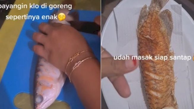 Kesal Akuarium Tak Kunjung Dibersihkan Suami, Wanita ini Goreng Ikan Arwana di Dalamnya