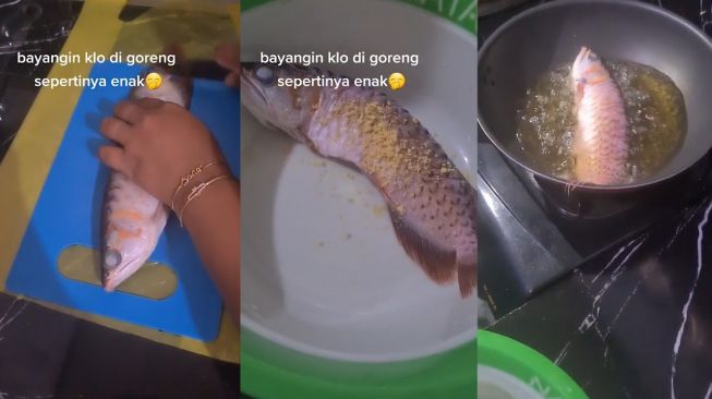 Viral Kesal Suami Tak Kunjung Bersihkan Akuarium, Istri Goreng Ikan Arwana