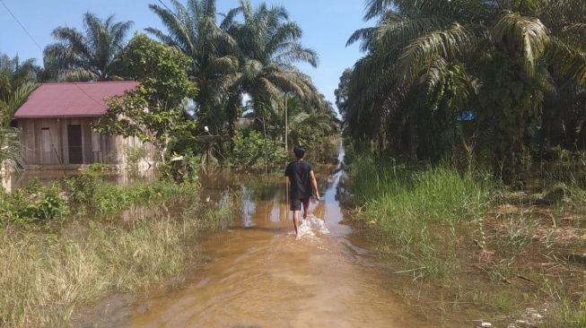 Dapat Kiriman Air dari Long Kali, Dua Desa di Kecamatan Babulu di PPU Terendam Banjir