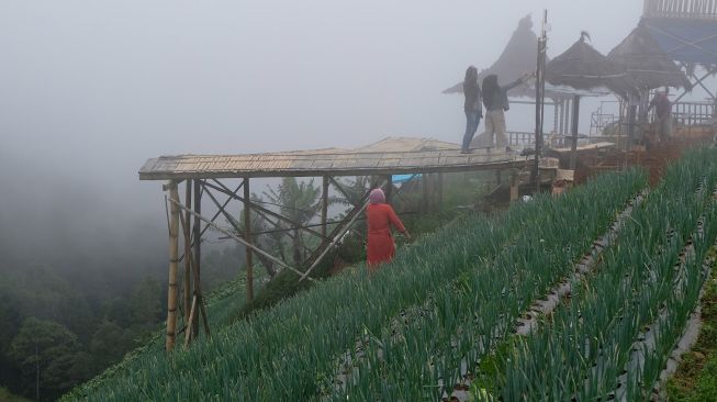 Pengunjung berada di kawasan pertanian sayuran di kawasan lereng gunung Sumbing, Dusun Nampan, Sukomakmur, Kajoran, Magelang, Jateng, Sabtu (9/10/2021).  ANTARA FOTO/Anis Efizudin