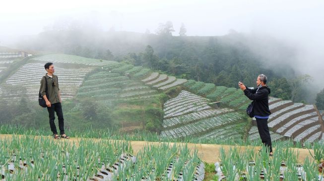 Pengunjung berada di kawasan pertanian sayuran di kawasan lereng gunung Sumbing, Dusun Nampan, Sukomakmur, Kajoran, Magelang, Jateng, Sabtu (9/10/2021). ANTARA FOTO/Anis Efizudin