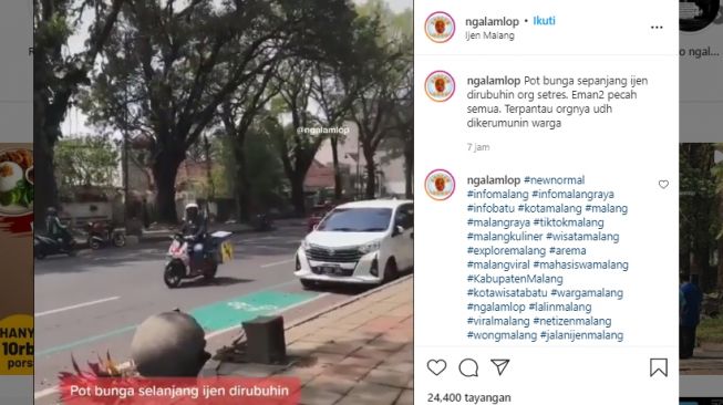 Pot Bunga di Jalan Ijen Malang Dirobohkan Orang Stres, Warganet Singgung Kondang Merak