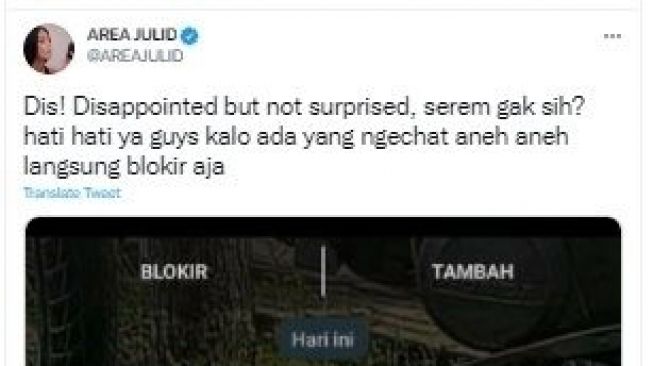 Tangkapan layar cuitan @areajulid tentang percakapan terima pesan dari orang tak dikenal. (twitter)