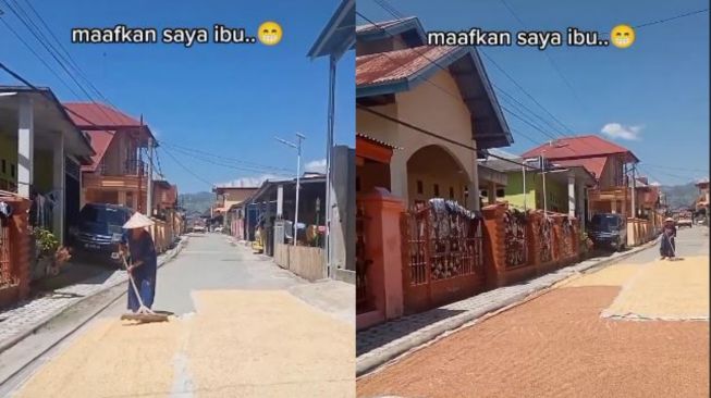 Pengendara Nekat Lindas Gabah yang Dijemur di Jalan, Publik Malah Debat Panas