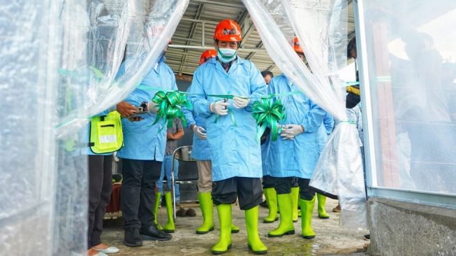 Berdikari Segera Hadirkan Ribuan Sapi Indukan untuk Pengembangan Ekosistem Pangan Nasional