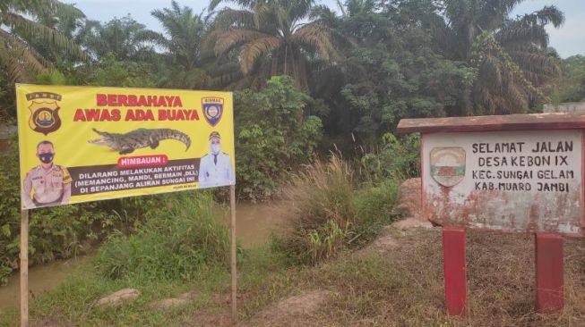 Polisi Pasang Papan Awas Ada Buaya di Desa Talang Kerinci, Warga Dilarang Beraktivitas