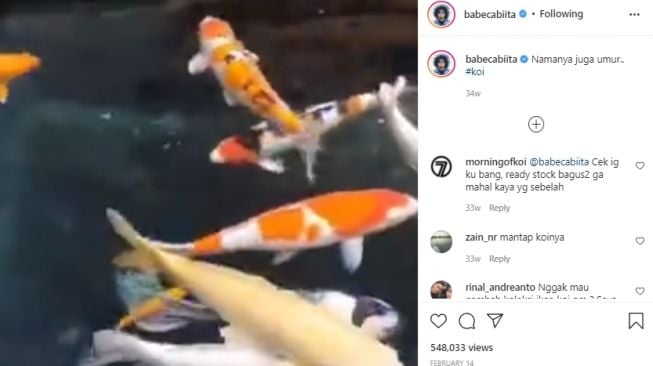 Koi Babe Cabita. [Instagram/babecabiita]