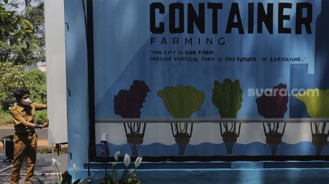 Petugas Suku Dinas Ketahanan Pangan, Kelautan, dan Pertanian (KPKP) Jakarta Selatan menutup container usai merawat tanaman yang ditanam menggunakan teknik hidroponik di dalam container farming dan agro electrifying di Agro Edukasi Wisata Ragunan, Pasar Minggu, Jakarta, Selasa (12/10/2021). [Suara.com/Angga Budhiyanto]