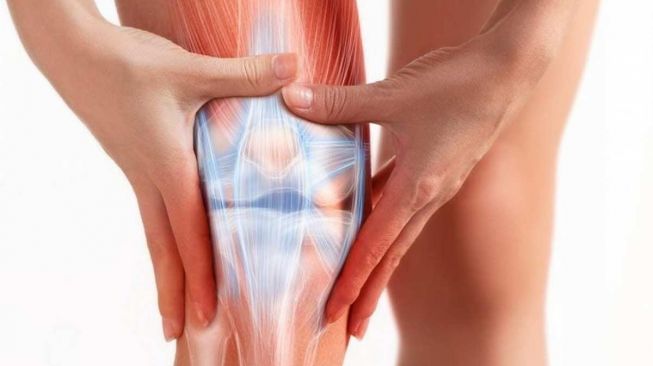 Perbedaan Sendi dan Otot Dapat Diketahui dari Fungsinya