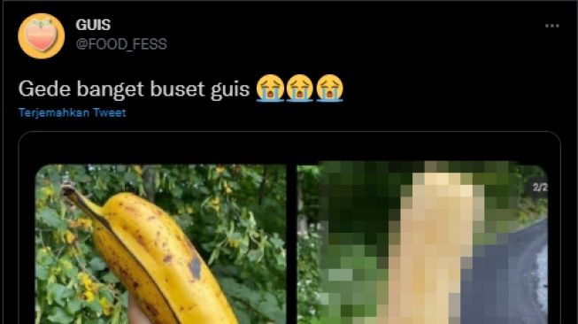 Viral Warganet Pamer Pisang Jumbo, Publik Ikutan Nangis Pas Lihat Isinya