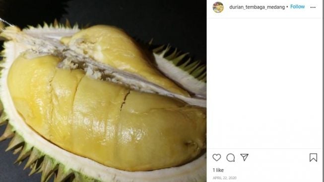 Durian tembaga (instagram)