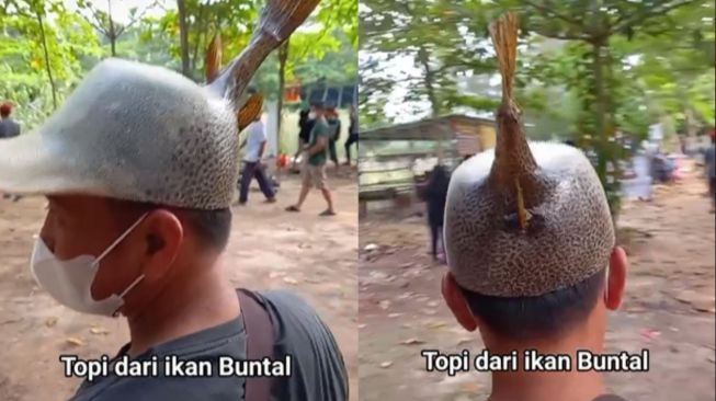 Topi terbuat dari ikan buntal. (Tiktok/@bhabin_avatar)